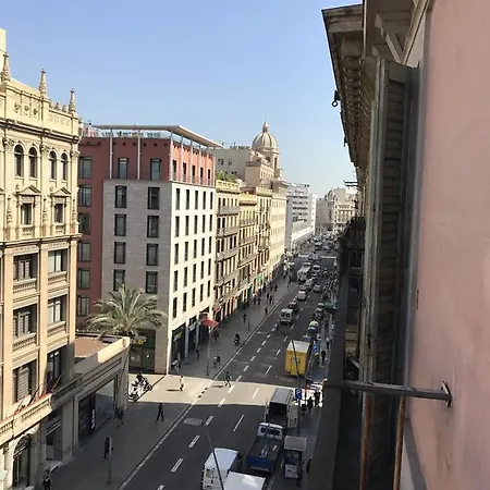 Chic & Basic Lemon Boutique