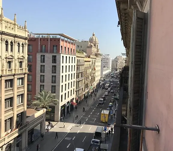 Chic & Basic Lemon Boutique